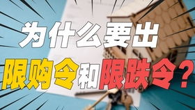 95后创过业的大厂产品经理 互联网销售、市场与运营深度解析——收割Offer必看行业干货
